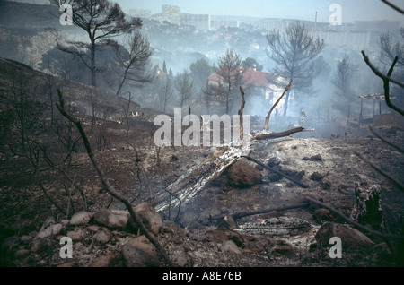 Burnt forest, fire smoke, dead trees, houses in the distance, aftermath of a wildfire, Vaucluse, Provence, France, Europe, Stock Photo