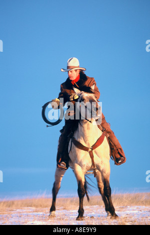 Cowboy on horseback working a cattle ranch in South Dakota s Great Plains Stock Photo