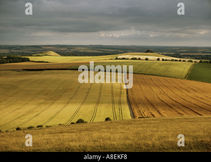 View of the Vale of Pewsey from Knap Hill on the Marlborough Downs in late summer evening light Wiltshire UK Stock Photo