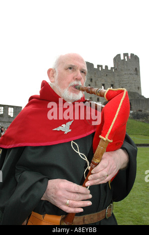 Dudley Castle West Midlands UK Stock Photo