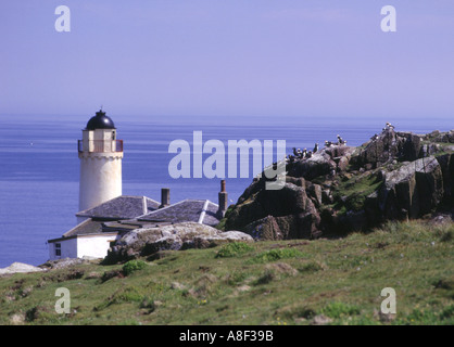 dh Lighthouse ISLE OF MAY FIFE Fratercula Arctica Puffin above light house firth of forth bird colony scotland puffins on island Stock Photo