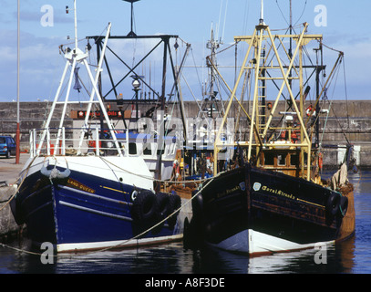 dh  BUCKIE MORAY Fishing boats in harbour scotland alongside fish boat industry uk fishery Stock Photo