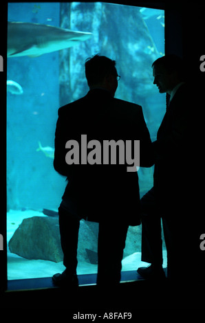 Two business men watch a shark swim around its tank at a business reception held at the London Aquarium, London, UK. Stock Photo