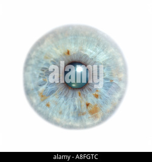 A close up macro view shot image of a human eye Stock Photo