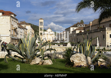 Skyline of Hvar with palm tree in Hvar island Dalmatia Adria Croatia Stock Photo