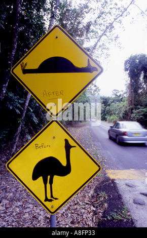 A road sign depicting the danger to cassowaries crossing in Far North Queensland Australia with humours grafitti showing before  Stock Photo