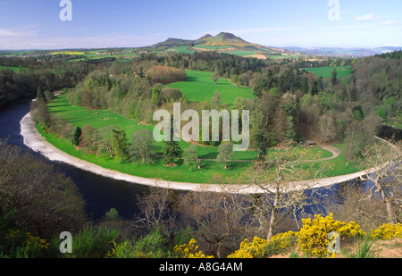 Spring looking across the River Tweed to the Eildon Hills above Melrose from Scotts View in the Scottish Borders Scotland UK Stock Photo