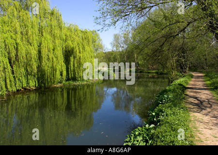 River Stort on the outskirts of Bishop's Stortford in Hertfordshire, England. Stock Photo