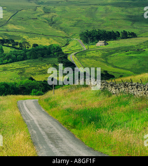 Road across Askrigg Common between Swaledale and Wensleydale in the Yorkshire Dales National Park, North Yorkshire, England.