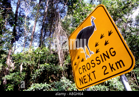 A road sign depicting the danger to cassowaries crossing near Mission Beach Far North Queensland Australia Stock Photo