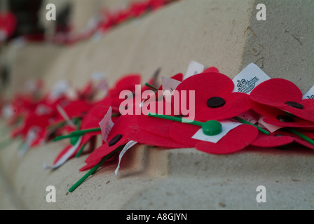 ANZAC Day 68th Dawn Memorial Ceremony at the Auckland War Memorial Museum Poppies Stock Photo
