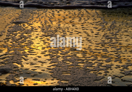 California Beach Reflections Stock Photo