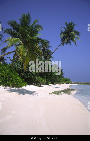 Tropical island paradise Beach on the Maldives Stock Photo