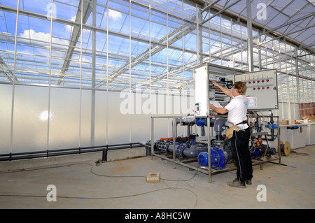 Fitter Men at work in the Greenhouses place Westland Zuid Holland and a cupboard closet switched Stock Photo