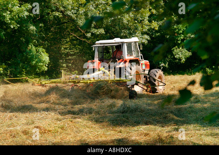 Farm work Stock Photo