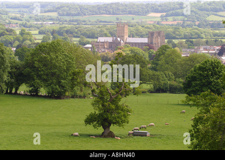 Wells Cathedral Somerset seen from Milton up on the Mendip Hills Stock Photo