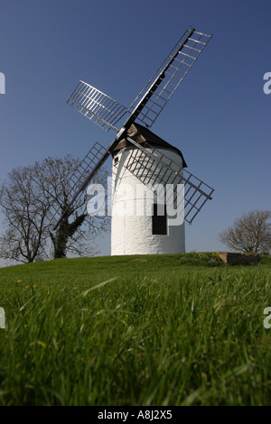 Ashton windmill at Chapel Allerton near Wedmore Somerset England Stock Photo