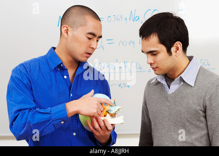 Close-up of a professor holding a human skull in front of his student in a classroom Stock Photo