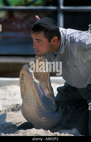 Florida, Orlando, Gatorland, Alligator wrestling Stock Photo