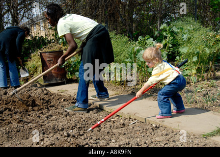 Woman and child hoeing to prepare soil to grow vegetables   in London allotment in Peckham Stock Photo