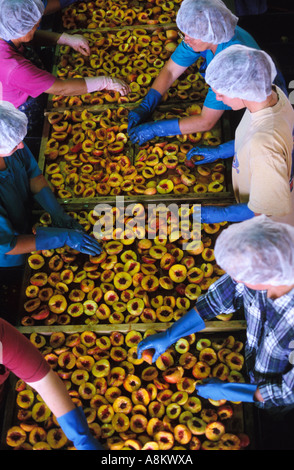 Fruit processing, South Australia Stock Photo