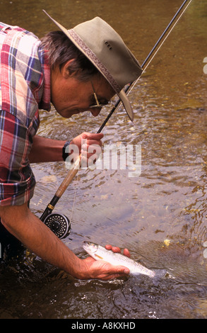 Landing a rainbow trout, Howqua River, ,  , NE Victoria, Australia, Vertical, Stock Photo