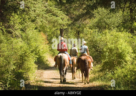 IDAHO INDIAN CREEK RANCH Guests horseback riding near the Main Salmon River and Shoupe ID MR Stock Photo