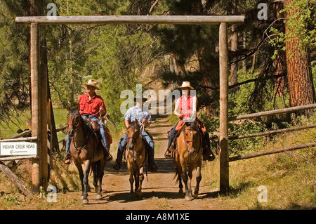 IDAHO INDIAN CREEK GUEST RANCH Guests riding horseback on forest trail near Main Salmon River and Shoupe Id MR Stock Photo