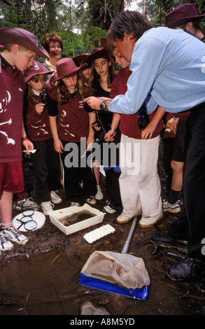 Water quality lesson for schoolkids, Victoria, Australia Stock Photo