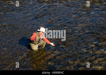 IDAHO SAWTOOTH MOUNTAINS Fly fisherman landing rainbow trout on main Salmon River Stanley Id MR Stock Photo