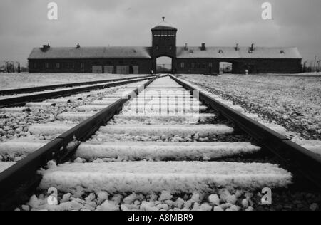 Railway leading to the main gate of the Birkenau concentration and extermination camp, near Auschwitz, Poland. Stock Photo