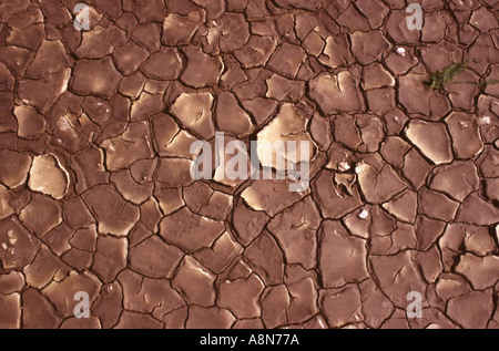 Baked Mud at The Wash Gedney Drove End Lincolnshire Stock Photo