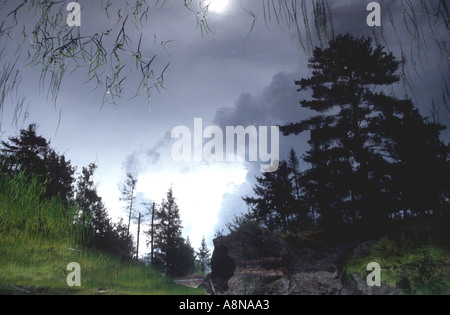 Sunlight trees reflected in a pool Barnum Brook Trail Adirondacks Park Visitor Interpretive Center Paul Smiths NY USA Stock Photo