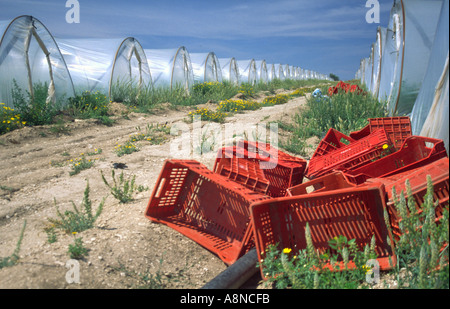 Lines of Greenhouses for Vegetables Sicily Italy Stock Photo