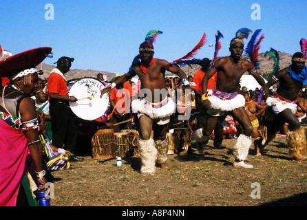 zulu reed dance ceremonial participants, Natal, South Africa Stock ...