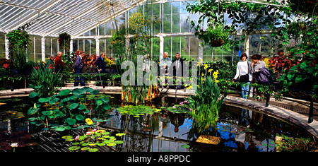 UK London Kew Gardens the water lily house Stock Photo