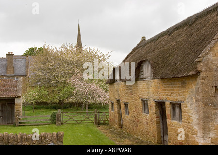 England Somerset Stoke sub Hamden Priory farmyard with apples trees in blossom Stock Photo