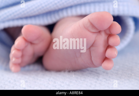 Newborn baby feet Stock Photo