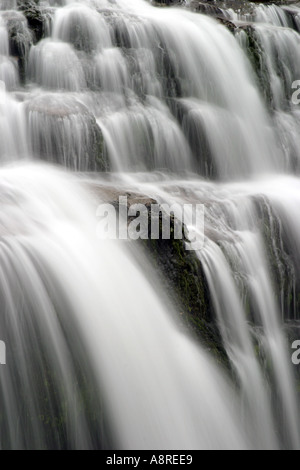 Liffey Falls Tasmania Australia Stock Photo