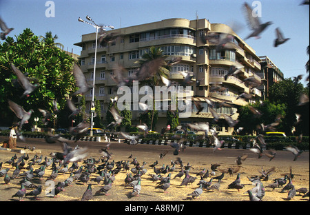 Marine Drive in Bombay, India Stock Photo