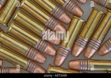 22 Calibre LR Long Rifle Rim Fire Cartridges Stock Photo