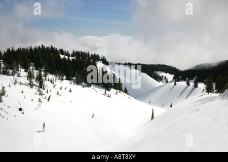Snow Covered Mountain Foothills, Valley & Trees Stock Photo
