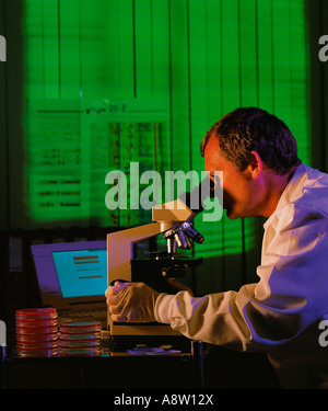 Side view indoors of middle age man hospital laboratory doctor technician using a microscope. Stock Photo
