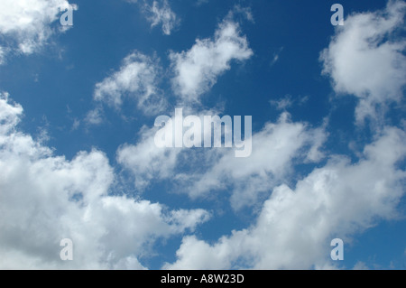 Blue sky with puffy white cumulus clouds on a bright sunny day Stock Photo