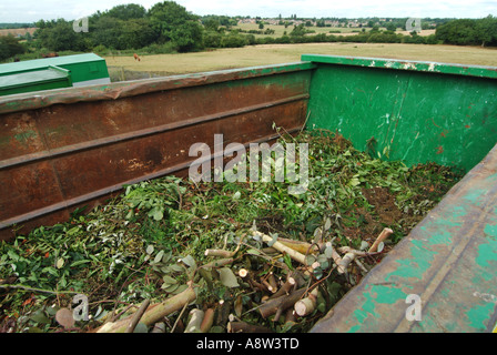 Local authority public recycling facility for green garden waste and placement in dedicated bin for removal to processing plant Stock Photo