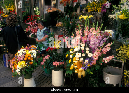 1, one, Spaniard, Spanish woman, mature woman, vendor, flower market, La Rambla, city of Barcelona, Barcelona, Barcelona Province, Spain, Europe Stock Photo