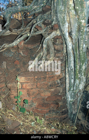 Bumbusi Ruins Stock Photo