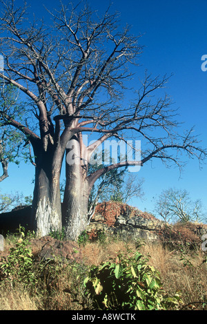 Bumbusi Ruins Stock Photo