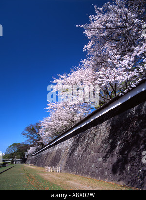 Nagabei Wall stretching along the South east side of Kumamoto Castle beside the Tsuboi River – national cultural property Stock Photo