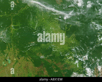 Deforestation in Rondonia Brazil viewed from space Stock Photo